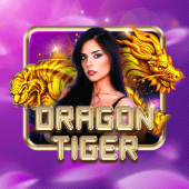 Dragon Tiger live table cover art showing a dragon and tiger emblem